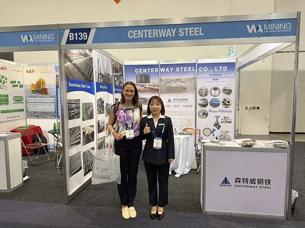 Butt Weld Fittings,erw steel pipe distributor,gas pipeline coating